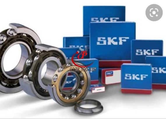 Vòng bi skf