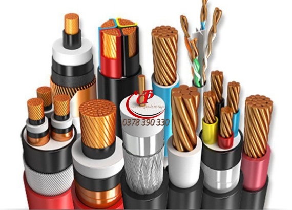 Dây cáp điện GOLDCUP