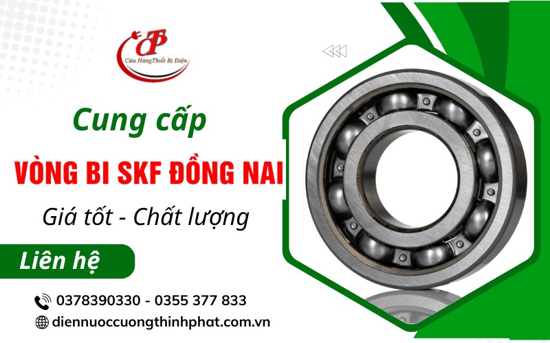 vòng bi SKF giá bao nhiêu Đồng Nai
